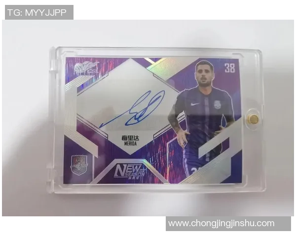 足球明星签名价格揭秘多少钱一个签名才算值钱